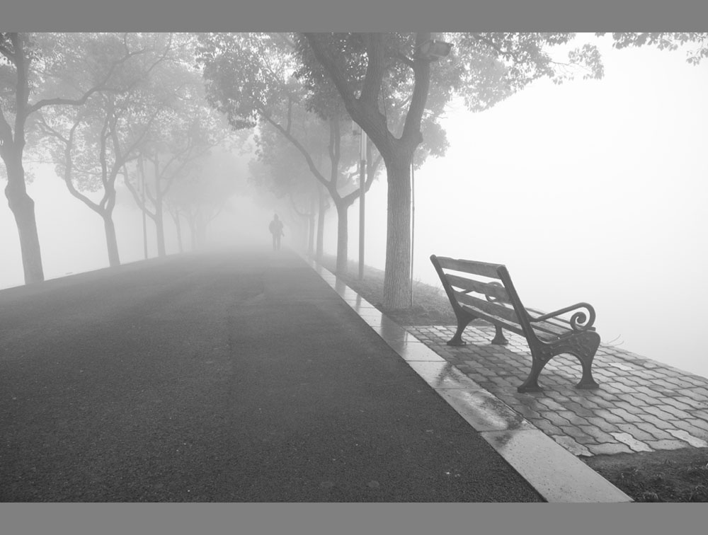 gyugi7988.jpg gyugi7988.jpg